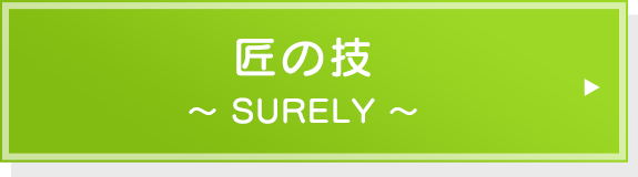 匠の技（SURELY）