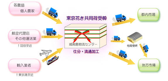 東京花き共同荷受㈱切花の出荷・仕分け・市場向け配送・保管